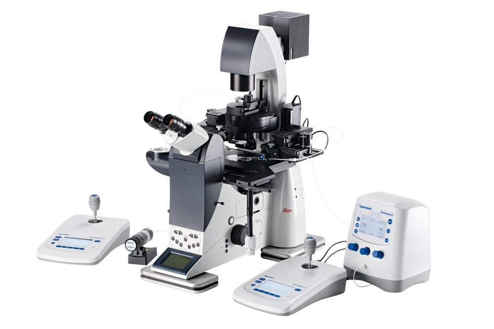 New Microinjection System at IPHYS BIF